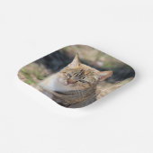 Katze Pappteller (Gewinkelt)