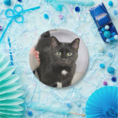 Katze Pappteller (Party)