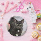 Katze Pappteller (Party)