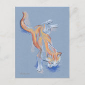 Katze Pastel Orange und weiße Tablette auf blauem  Postkarte (Vorderseite)