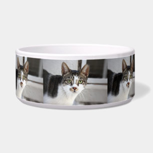 Katze Pet Bowl Napf
