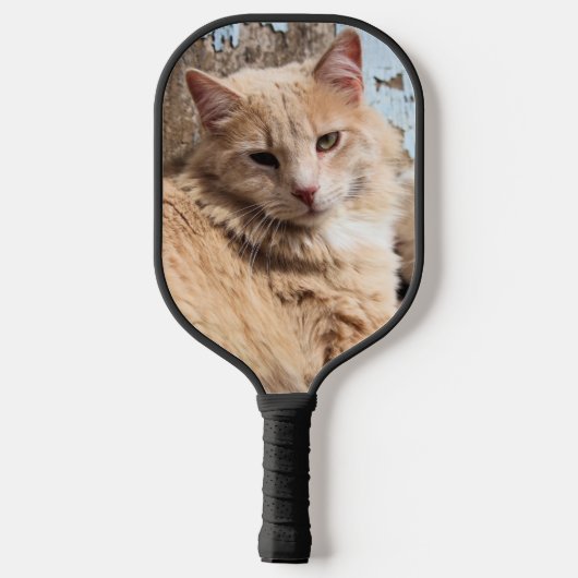 Katze Pickleball Schläger (Rückseite)