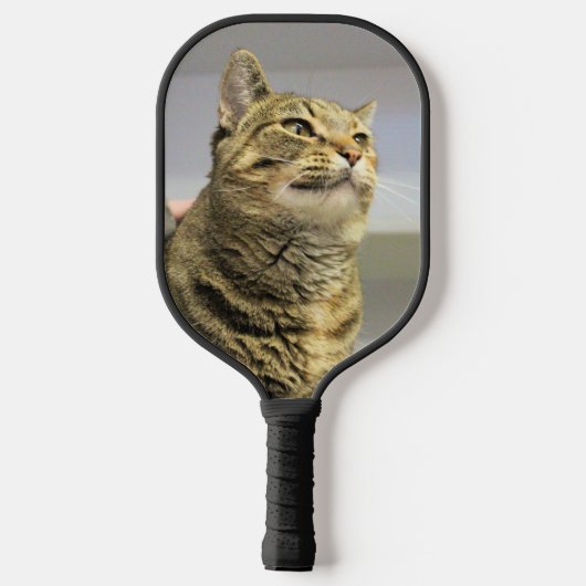 Katze Pickleball Schläger (Rückseite)