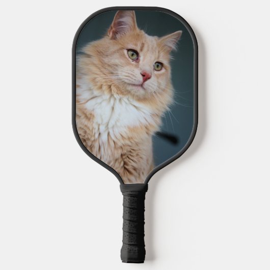 Katze Pickleball Schläger (Rückseite)