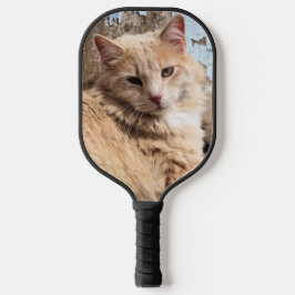 Katze Pickleball Schläger