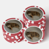 Katze Pokerchips (Stapel)