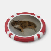 Katze Pokerchips (Einzeln)