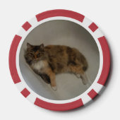Katze Pokerchips (Rückseite)