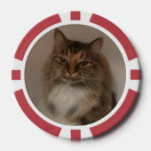 Katze Pokerchips (Vorderseite)