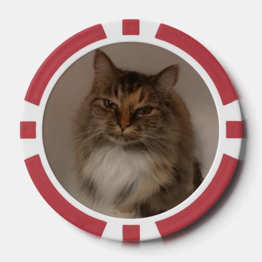 Katze Pokerchips (Vorderseite)