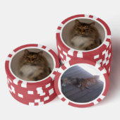 Katze Pokerchips (Stapel)