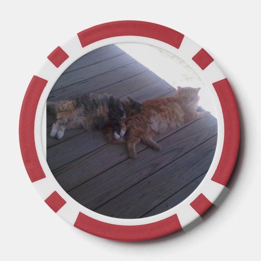 Katze Pokerchips (Rückseite)