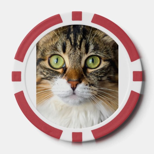 Katze Pokerchips (Vorderseite)