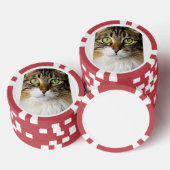 Katze Pokerchips (Stapel)