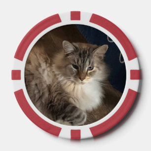 Katze Pokerchips