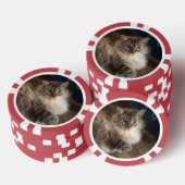Katze Pokerchips (Stapel)