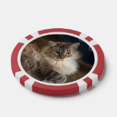 Katze Pokerchips (Einzeln)