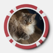 Katze Pokerchips (Rückseite)