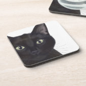 Katze, Portrait von Gus Getränkeuntersetzer (Linke Seite)