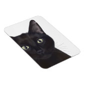 Katze, Portrait von Gus Magnet (Rechte Seite)