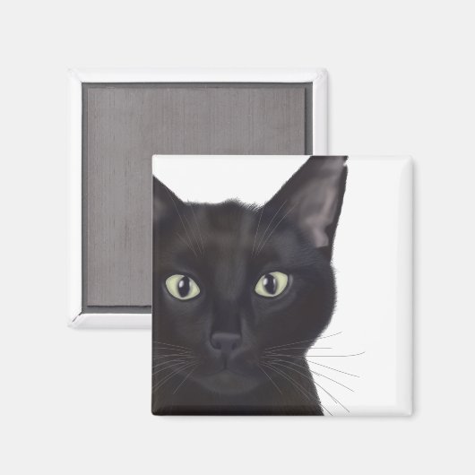 Katze, Portrait von Gus Magnet (Vorderseite/Rückseite)
