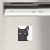 Katze, Portrait von Gus Magnet (In Situ (Geschirrspüler))