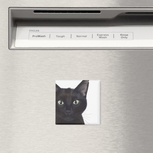 Katze, Portrait von Gus Magnet (In Situ (Geschirrspüler))