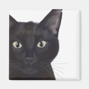 Katze, Portrait von Gus Magnet