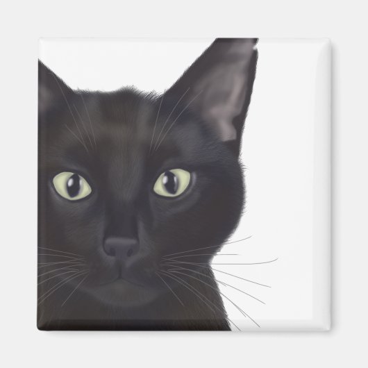 Katze, Portrait von Gus Magnet (Vorne)
