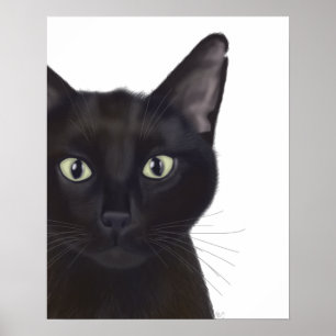 Katze, Portrait von Gus Poster