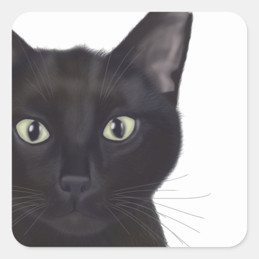 Katze, Portrait von Gus Quadratischer Aufkleber (Vorderseite)