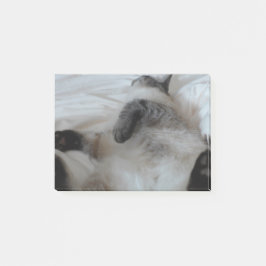 Katze Post-it Klebezettel