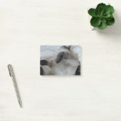 Katze Post-it Klebezettel (Büro)