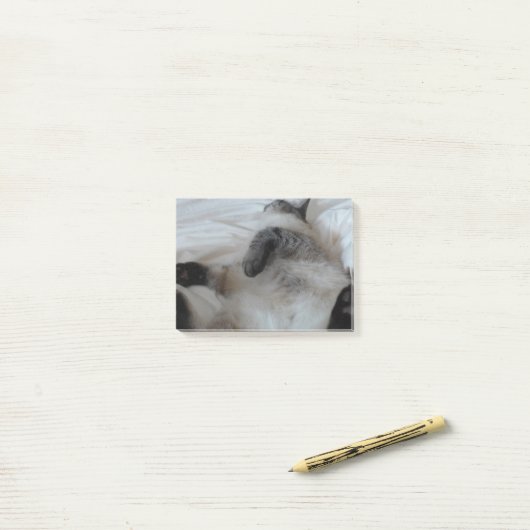 Katze Post-it Klebezettel (Auf Schreibtisch)