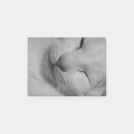 Katze Post-it Klebezettel