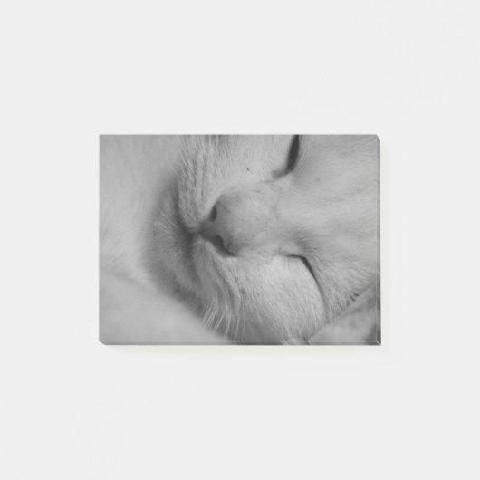 Katze Post-it Klebezettel (Vorderseite)