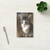 Katze Post-it Klebezettel (Büro)