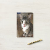 Katze Post-it Klebezettel (Auf Schreibtisch)