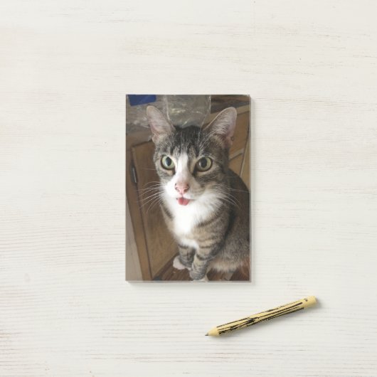 Katze Post-it Klebezettel (Auf Schreibtisch)