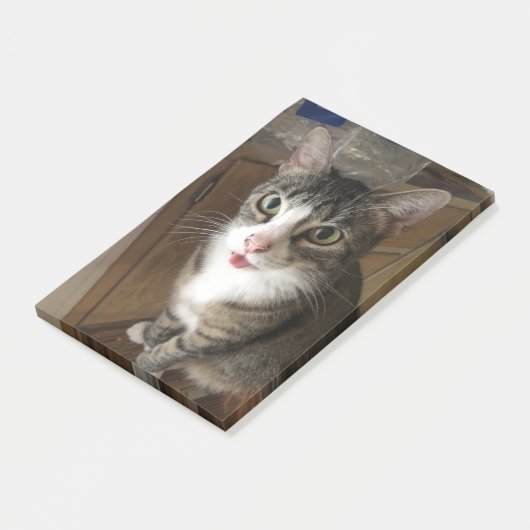 Katze Post-it Klebezettel (angewinkelt)