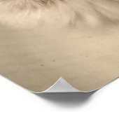 Katze Poster (Ecke)