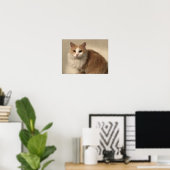 Katze Poster (Heimbüro)