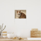 Katze Poster (Küche)