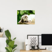 Katze Poster (Heimbüro)
