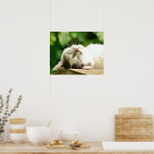 Katze Poster (Küche)