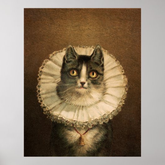 Katze Poster (Vorne)