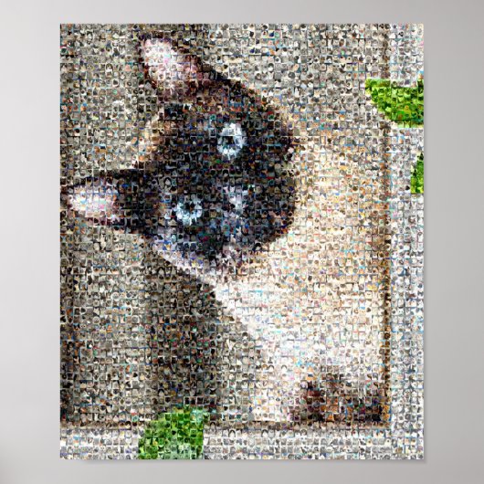 Katze Poster (Vorne)