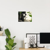 Katze Poster (Heimbüro)