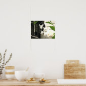 Katze Poster (Küche)