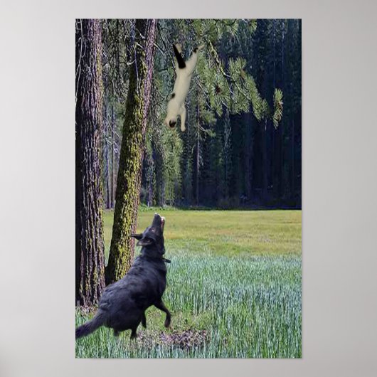 KATZE POSTER (Vorne)